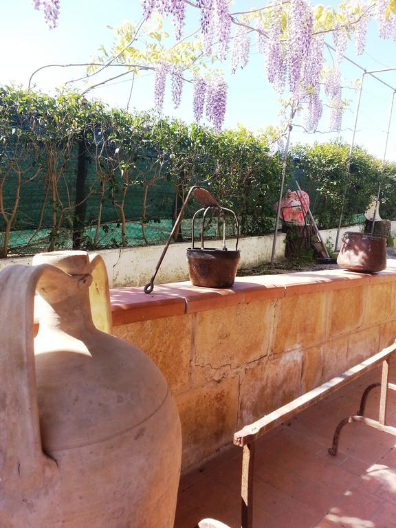 B&B La Casa Dell'Artista Nissoria Exteriér fotografie