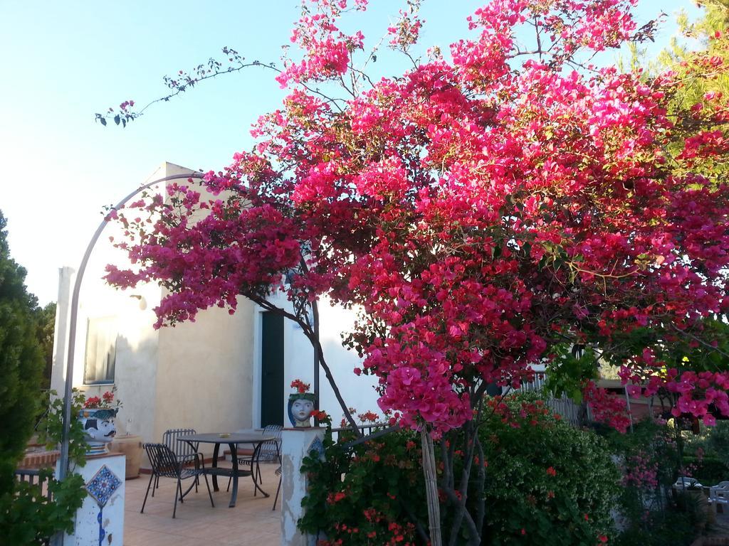 B&B La Casa Dell'Artista Nissoria Exteriér fotografie